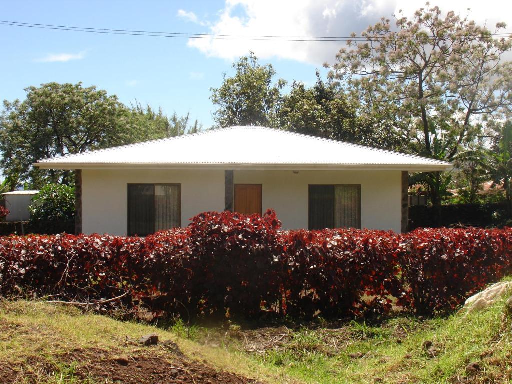 Turismo Vinapu Hanga Roa